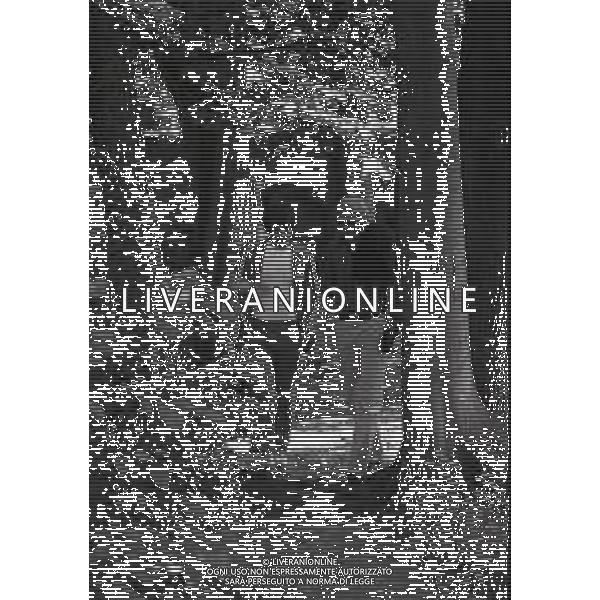 1974 RADUNO ITALIA AI CAMPIONATI DEL MONDO DI CALCIO 74 NELLA FOTO KARL HEINZ SCHNELLINGER E GIANNI RIVERA AG ALDO LIVERANI SAS