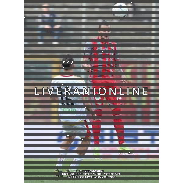Campionato di Calcio Serie B BKT 2018/2019 28a Giornata Cremona - 10.03.2019 Cremonese-Benevento Nella Foto: Vasile Mogos e Riccardo Improta /Ph.Vitez-Ag. Aldo Liverani