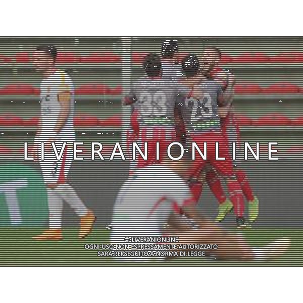 Campionato di Calcio Serie B BKT 2018/2019 28a Giornata Cremona - 10.03.2019 Cremonese-Benevento Nella Foto: esultanza dopo il gol di xian emmers /Ph.Vitez-Ag. Aldo Liverani