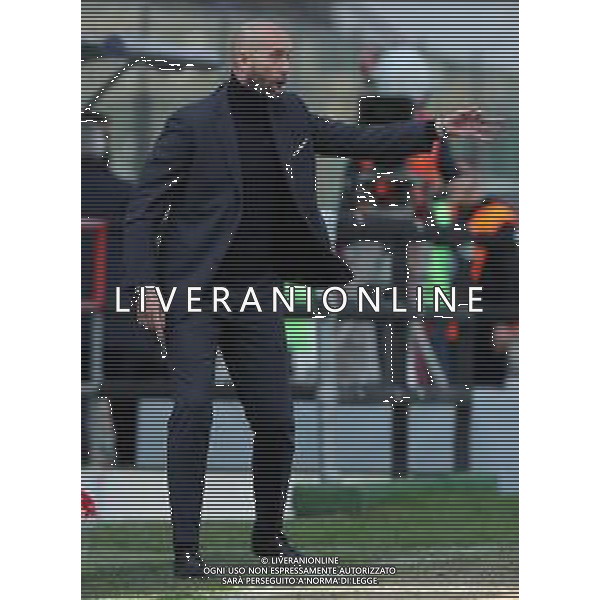 Campionato di Calcio Serie B BKT 2018/2019 28a Giornata Cremona - 10.03.2019 Cremonese-Benevento Nella Foto:Cristian Bucchi /Ph.Vitez-Ag. Aldo Liverani