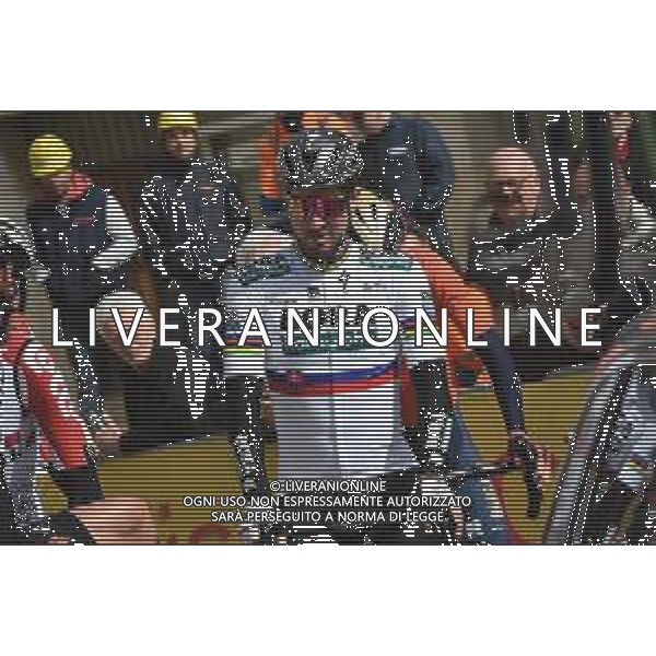 15-03-2019 Tirreno - Adriatico; Tappa 03 Pomarance - Foligno; 2019, Bora - Hansgrohe; Sagan, Peter; Pomarance; ©SIROTTI / AGENZIA ALDO LIVERANI SAS