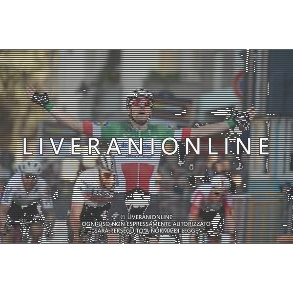 15-03-2019 Tirreno - Adriatico; Tappa 03 Pomarance - Foligno; 2019, Deceunick - Quickstep; Viviani, Elia; Foligno; ©SIROTTI / AGENZIA ALDO LIVERANI SAS
