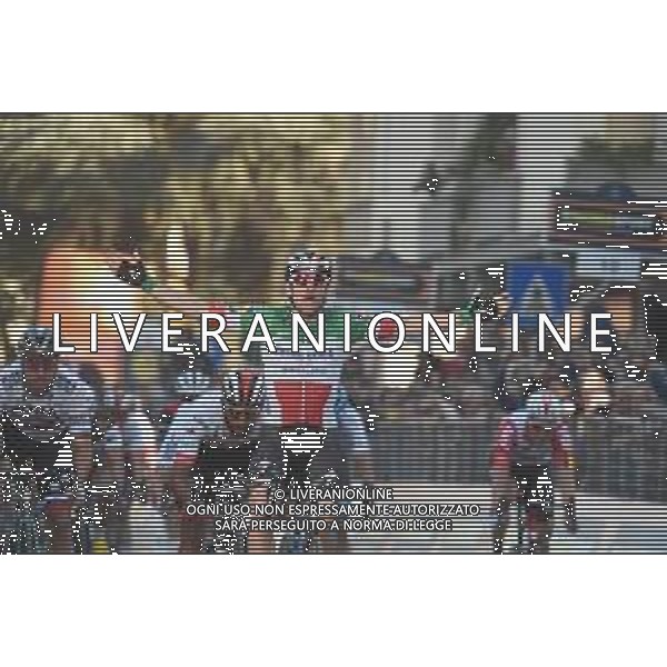 15-03-2019 Tirreno - Adriatico; Tappa 03 Pomarance - Foligno; 2019, Deceunick - Quickstep; Viviani, Elia; Foligno; ©SIROTTI / AGENZIA ALDO LIVERANI SAS