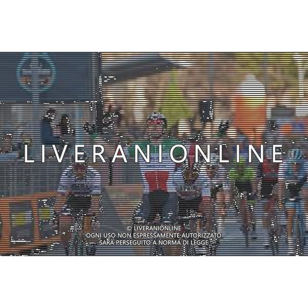 15-03-2019 Tirreno - Adriatico; Tappa 03 Pomarance - Foligno; 2019, Deceunick - Quickstep; 2019, Bora - Hansgrohe; 2019, Uae - Emirates; Viviani, Elia; Sagan, Peter; Gaviria Rendon, Fernando; Foligno; FOTO STEFANO SIROTTI-AG ALDO LIVERANI SAS