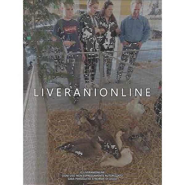 SABATO 23 MARZO 2019 MERCATO ORTOFRUTTICOLO L\'AJA IN PIAZZA NELLA FOTO : GLI ANIMALI IN GABBIA ©SANNA / AGENZIA ALDO LIVERANI SAS