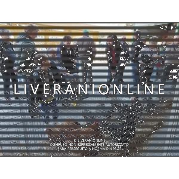 SABATO 23 MARZO 2019 MERCATO ORTOFRUTTICOLO L\'AJA IN PIAZZA NELLA FOTO : BIMBO RIDE ALLE GALLINE ©SANNA / AGENZIA ALDO LIVERANI SAS