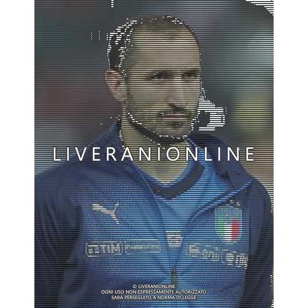 UEFA European Qualifiers Group J Udine - 23.03.2019 Italia-Finlandia Nella Foto:Giorgio Chiellini /Ph.Vitez-Ag. Aldo Liverani