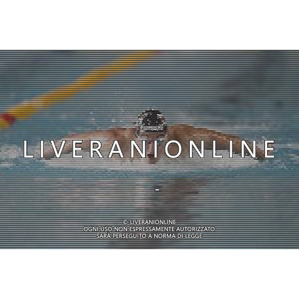 Riccione 02/04/2019 - Campionati Assoluti di Nuoto - nella foto: burdisso federico ©Claudio Zamagni/Agenzia Aldo Liverani
