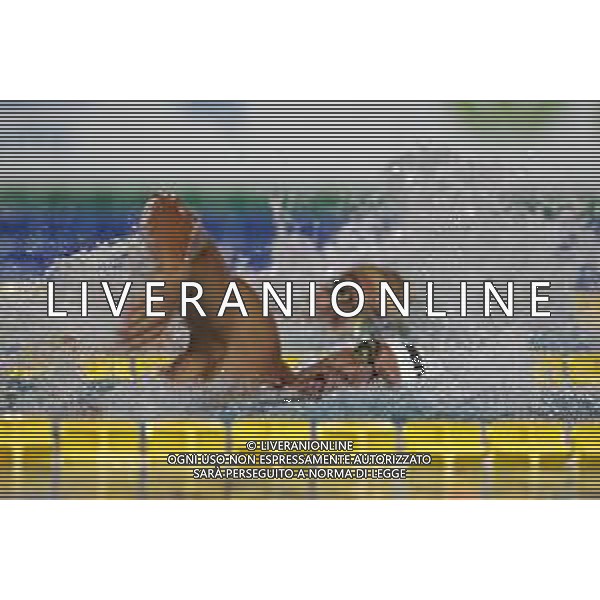 Riccione 04/04/2019 - Campionati Assoluti di Nuoto - nella foto: gabriele detti e gregorio paltrinieri ©Claudio Zamagni/Agenzia Aldo Liverani