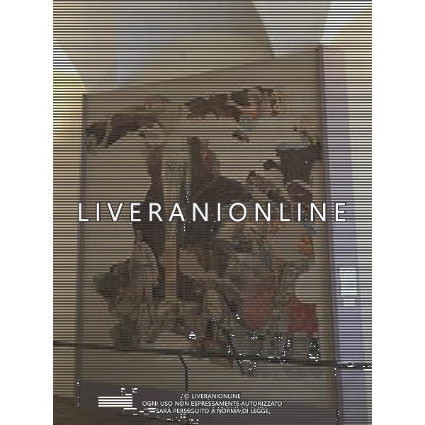 URBINO PALAZZO DUCALE AG ALDO LIVERANI SAS