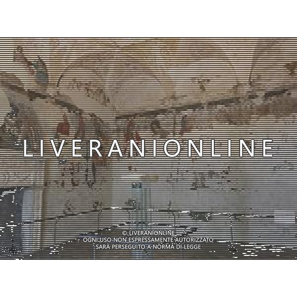 URBINO PALAZZO DUCALE AG ALDO LIVERANI SAS