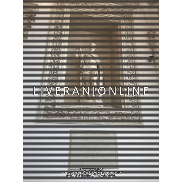 URBINO PALAZZO DUCALE AG ALDO LIVERANI SAS