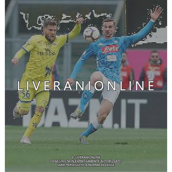 Campionato di Calcio Serie A TIM 2018/2019 32a Giornata Verona - 14.04.2019 Chievo-Napoli Nella Foto: Fabian Ruiz e Perparim Hetemaj /Ph.Vitez-Ag. Aldo Liverani