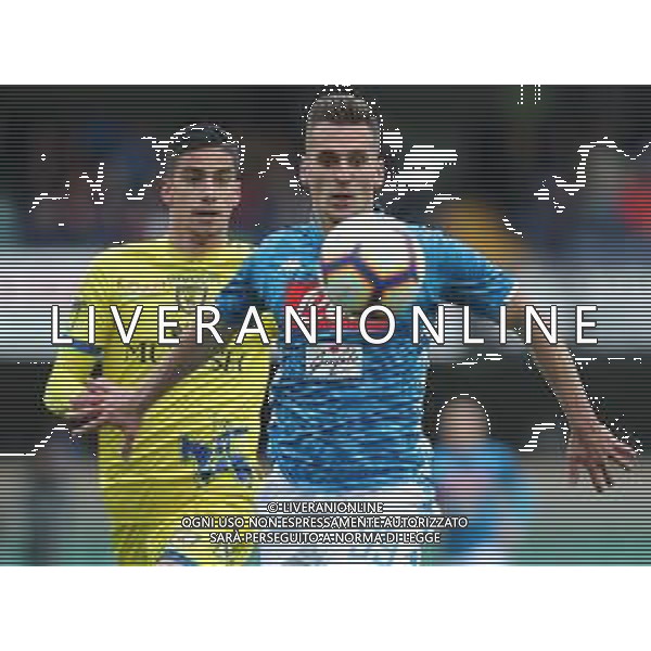 Campionato di Calcio Serie A TIM 2018/2019 32a Giornata Verona - 14.04.2019 Chievo-Napoli Nella Foto: Arkadiusz Milik e Fabio Depaoli /Ph.Vitez-Ag. Aldo Liverani
