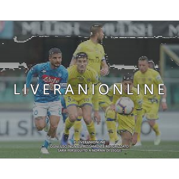 Campionato di Calcio Serie A TIM 2018/2019 32a Giornata Verona - 14.04.2019 Chievo-Napoli Nella Foto: insigne lorenzo e marco andreolli /Ph.Vitez-Ag. Aldo Liverani