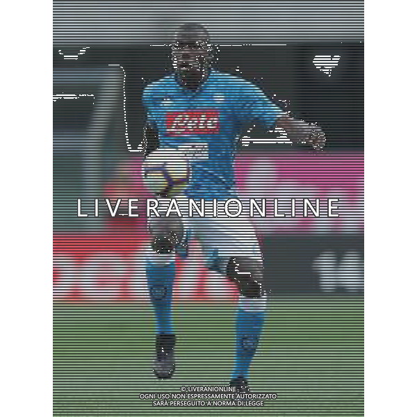 Campionato di Calcio Serie A TIM 2018/2019 32a Giornata Verona - 14.04.2019 Chievo-Napoli Nella Foto: Kalidou Koulibaly /Ph.Vitez-Ag. Aldo Liverani