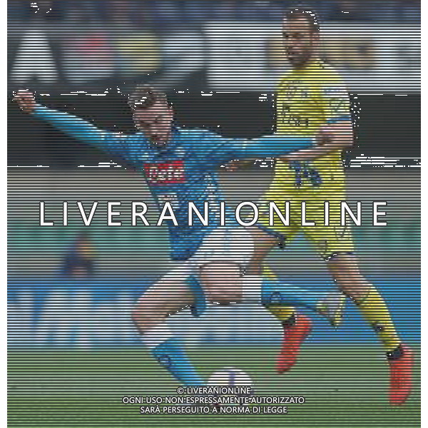 Campionato di Calcio Serie A TIM 2018/2019 32a Giornata Verona - 14.04.2019 Chievo-Napoli Nella Foto: fabian ruiz e Riccardo Meggiorini /Ph.Vitez-Ag. Aldo Liverani