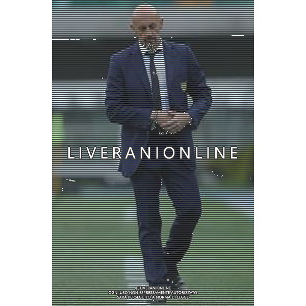Campionato di Calcio Serie A TIM 2018/2019 32a Giornata Verona - 14.04.2019 Chievo-Napoli Nella Foto: domenico di carlo /Ph.Vitez-Ag. Aldo Liverani