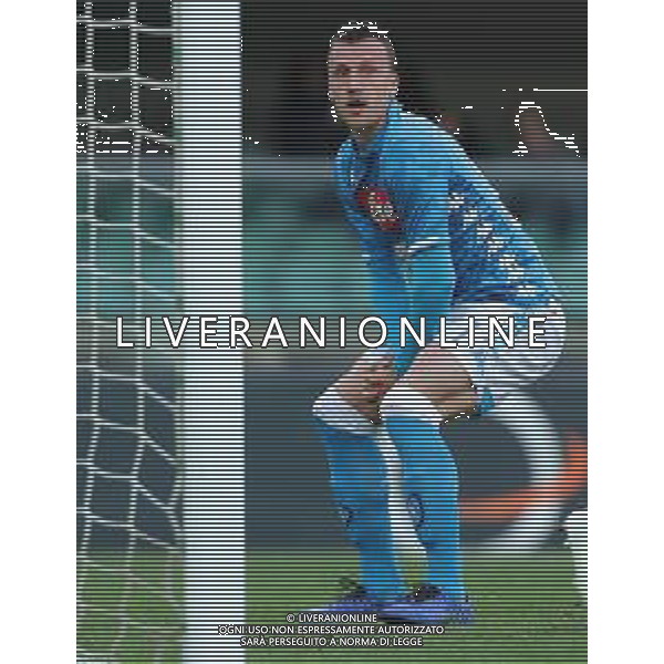 Campionato di Calcio Serie A TIM 2018/2019 32a Giornata Verona - 14.04.2019 Chievo-Napoli Nella Foto: Vlad Chiriches dopo l’occasione mancata /Ph.Vitez-Ag. Aldo Liverani