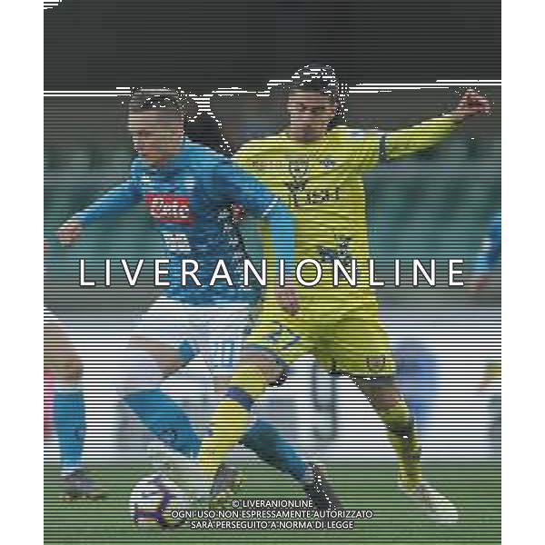 Campionato di Calcio Serie A TIM 2018/2019 32a Giornata Verona - 14.04.2019 Chievo-Napoli Nella Foto: Piotr Zielinski e Fabio Depaoli /Ph.Vitez-Ag. Aldo Liverani