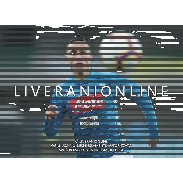 Campionato di Calcio Serie A TIM 2018/2019 32a Giornata Verona - 14.04.2019 Chievo-Napoli Nella Foto: jose\' callejon /Ph.Vitez-Ag. Aldo Liverani