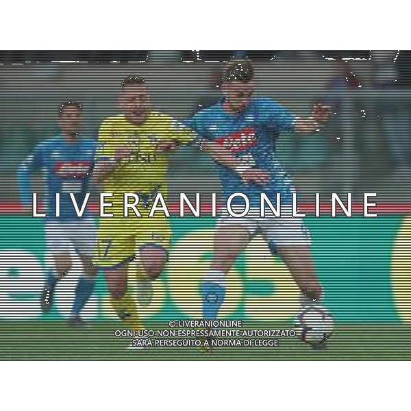 Campionato di Calcio Serie A TIM 2018/2019 32a Giornata Verona - 14.04.2019 Chievo-Napoli Nella Foto: fabian ruiz e Emanuele Giaccherini /Ph.Vitez-Ag. Aldo Liverani