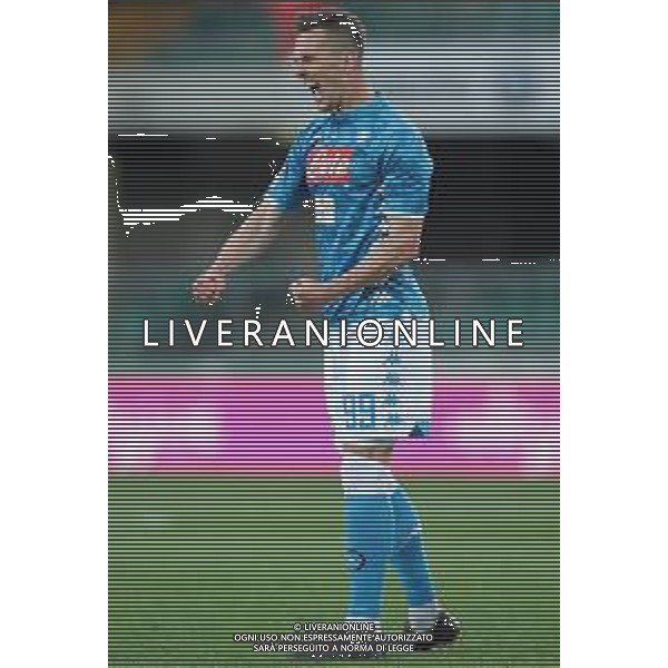 Campionato di Calcio Serie A TIM 2018/2019 32a Giornata Verona - 14.04.2019 Chievo-Napoli Nella Foto: esultanza dopo il gol di Arkadiusz Milik /Ph.Vitez-Ag. Aldo Liverani