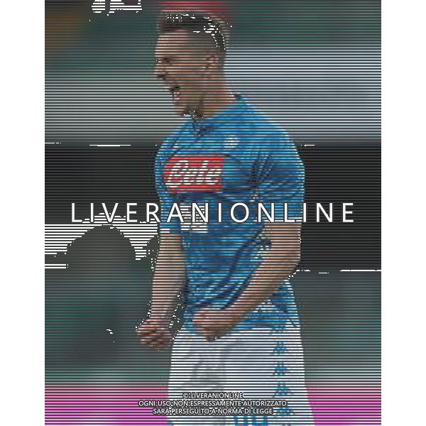 Campionato di Calcio Serie A TIM 2018/2019 32a Giornata Verona - 14.04.2019 Chievo-Napoli Nella Foto: esultanza dopo il gol di Arkadiusz Milik /Ph.Vitez-Ag. Aldo Liverani