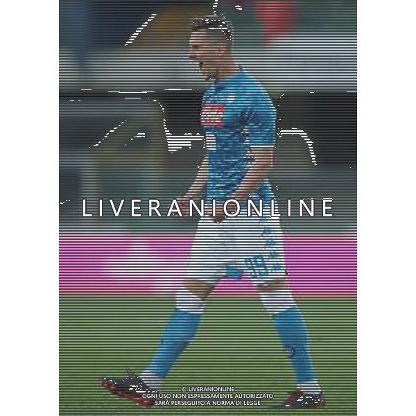 Campionato di Calcio Serie A TIM 2018/2019 32a Giornata Verona - 14.04.2019 Chievo-Napoli Nella Foto: esultanza dopo il gol di Arkadiusz Milik /Ph.Vitez-Ag. Aldo Liverani