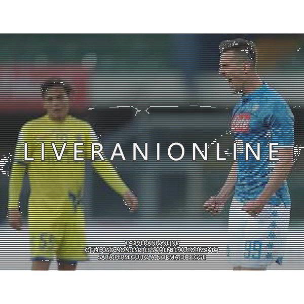 Campionato di Calcio Serie A TIM 2018/2019 32a Giornata Verona - 14.04.2019 Chievo-Napoli Nella Foto: esultanza dopo il gol di Arkadiusz Milik /Ph.Vitez-Ag. Aldo Liverani