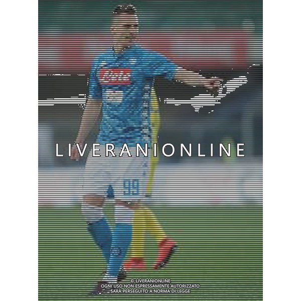 Campionato di Calcio Serie A TIM 2018/2019 32a Giornata Verona - 14.04.2019 Chievo-Napoli Nella Foto: esultanza dopo il gol di Arkadiusz Milik /Ph.Vitez-Ag. Aldo Liverani