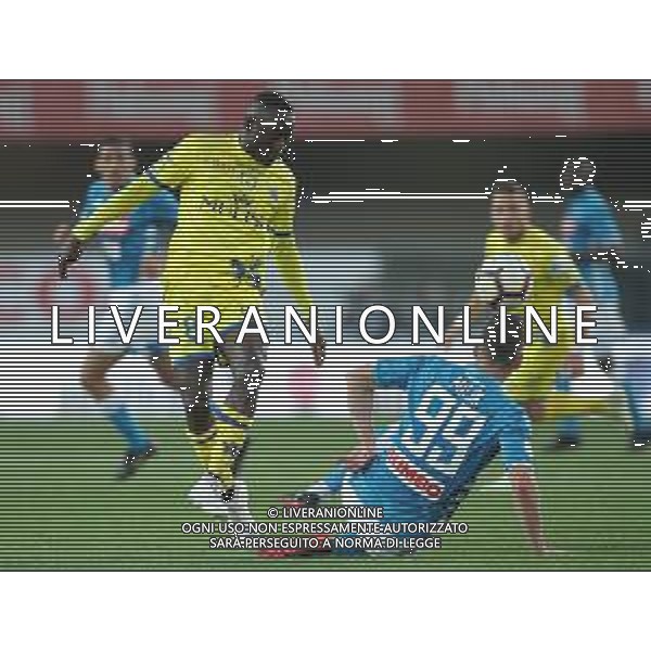Campionato di Calcio Serie A TIM 2018/2019 32a Giornata Verona - 14.04.2019 Chievo-Napoli Nella Foto: Arkadiusz Milik e Assane Diousse\' /Ph.Vitez-Ag. Aldo Liverani