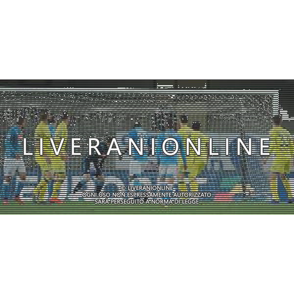 Campionato di Calcio Serie A TIM 2018/2019 32a Giornata Verona - 14.04.2019 Chievo-Napoli Nella Foto: il gol di Bostjan Cesar /Ph.Vitez-Ag. Aldo Liverani