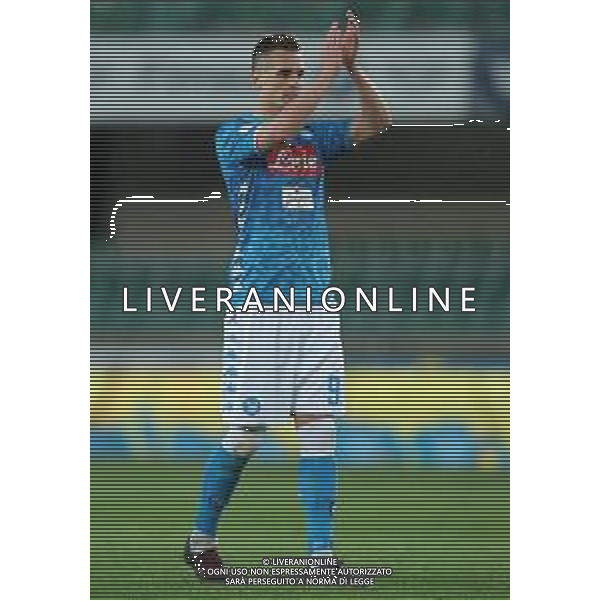 Campionato di Calcio Serie A TIM 2018/2019 32a Giornata Verona - 14.04.2019 Chievo-Napoli Nella Foto: esultanza di Arkadiusz Milik a fine gara /Ph.Vitez-Ag. Aldo Liverani