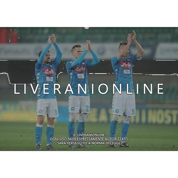 Campionato di Calcio Serie A TIM 2018/2019 32a Giornata Verona - 14.04.2019 Chievo-Napoli Nella Foto: esultanza di Arkadiusz Milik, Dries mertens e Piotr Zielinski a fine gara che festeggiano a fine partita /Ph.Vitez-Ag. Aldo Liverani