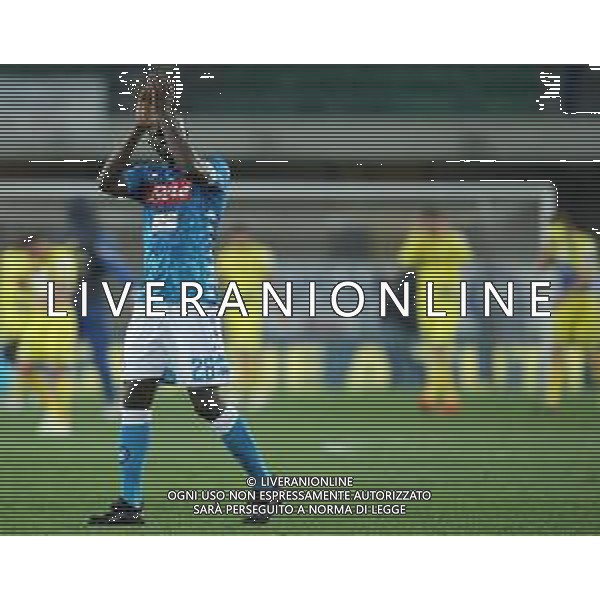 Campionato di Calcio Serie A TIM 2018/2019 32a Giornata Verona - 14.04.2019 Chievo-Napoli Nella Foto: esultanza di Kalidou Koulibaly che festeggia a fine partita /Ph.Vitez-Ag. Aldo Liverani