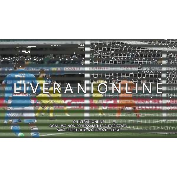 Campionato di Calcio Serie A TIM 2018/2019 32a Giornata Verona - 14.04.2019 Chievo-Napoli Nella Foto: il secondo gol di Kalidou Koulibaly /Ph.Vitez-Ag. Aldo Liverani