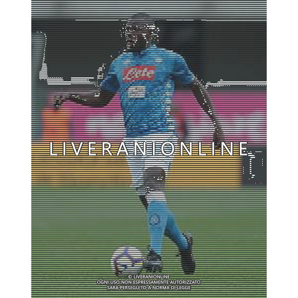 Campionato di Calcio Serie A TIM 2018/2019 32a Giornata Verona - 14.04.2019 Chievo-Napoli Nella Foto:Kalidou Koulibaly /Ph.Vitez-Ag. Aldo Liverani