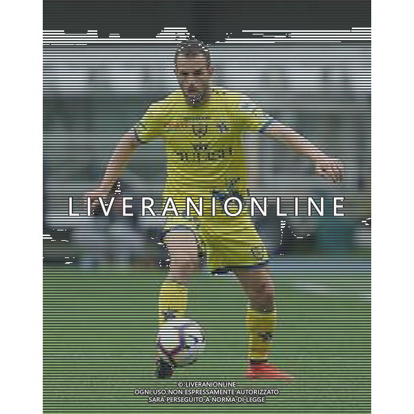 Campionato di Calcio Serie A TIM 2018/2019 32a Giornata Verona - 14.04.2019 Chievo-Napoli Nella Foto:Riccardo Meggiorini /Ph.Vitez-Ag. Aldo Liverani