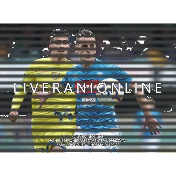 Campionato di Calcio Serie A TIM 2018/2019 32a Giornata Verona - 14.04.2019 Chievo-Napoli Nella Foto:Arkadiusz Milik /Ph.Vitez-Ag. Aldo Liverani