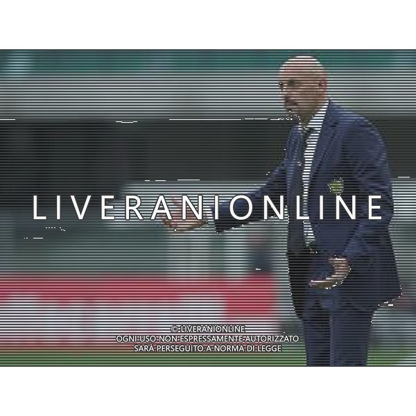 Campionato di Calcio Serie A TIM 2018/2019 32a Giornata Verona - 14.04.2019 Chievo-Napoli Nella Foto:Domenico Di Carlo /Ph.Vitez-Ag. Aldo Liverani