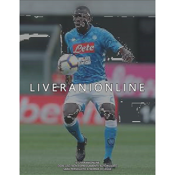 Campionato di Calcio Serie A TIM 2018/2019 32a Giornata Verona - 14.04.2019 Chievo-Napoli Nella Foto:Kalidou Koulibaly /Ph.Vitez-Ag. Aldo Liverani