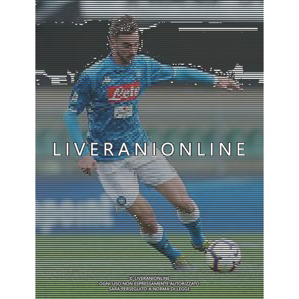 Campionato di Calcio Serie A TIM 2018/2019 32a Giornata Verona - 14.04.2019 Chievo-Napoli Nella Foto:Fabian Ruiz /Ph.Vitez-Ag. Aldo Liverani