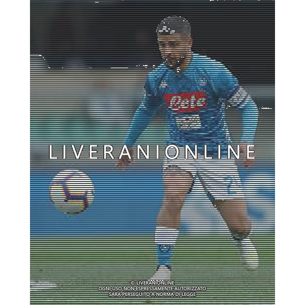 Campionato di Calcio Serie A TIM 2018/2019 32a Giornata Verona - 14.04.2019 Chievo-Napoli Nella Foto:Lorenzo Insigne /Ph.Vitez-Ag. Aldo Liverani