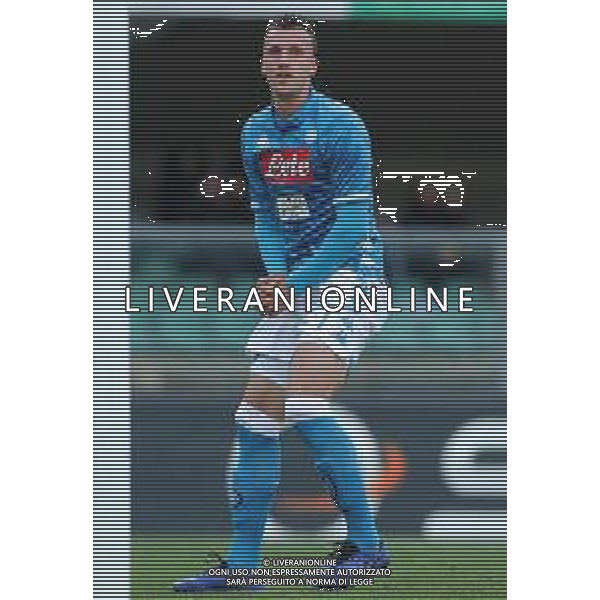 Campionato di Calcio Serie A TIM 2018/2019 32a Giornata Verona - 14.04.2019 Chievo-Napoli Nella Foto:Vlad Chiriches /Ph.Vitez-Ag. Aldo Liverani