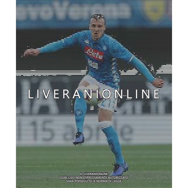 Campionato di Calcio Serie A TIM 2018/2019 32a Giornata Verona - 14.04.2019 Chievo-Napoli Nella Foto:Vlad Chiriches /Ph.Vitez-Ag. Aldo Liverani