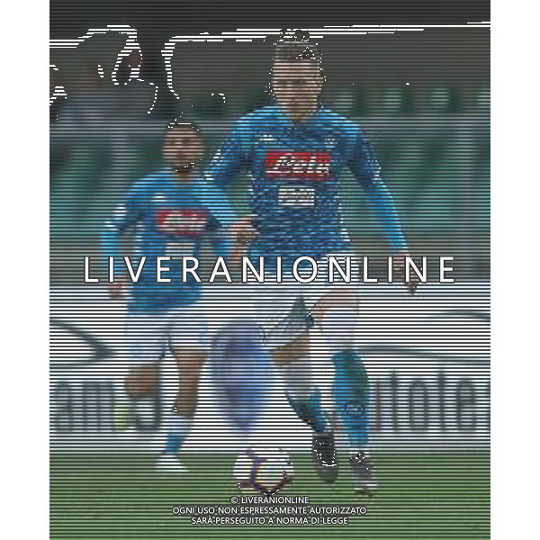 Campionato di Calcio Serie A TIM 2018/2019 32a Giornata Verona - 14.04.2019 Chievo-Napoli Nella Foto:Piotr Zielinski /Ph.Vitez-Ag. Aldo Liverani