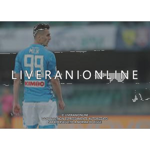 Campionato di Calcio Serie A TIM 2018/2019 32a Giornata Verona - 14.04.2019 Chievo-Napoli Nella Foto:Arkadiusz Milik /Ph.Vitez-Ag. Aldo Liverani
