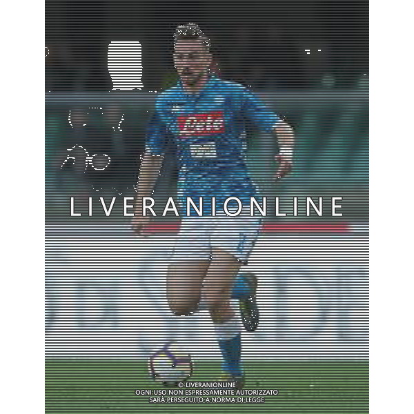 Campionato di Calcio Serie A TIM 2018/2019 32a Giornata Verona - 14.04.2019 Chievo-Napoli Nella Foto:Fabian Ruiz /Ph.Vitez-Ag. Aldo Liverani