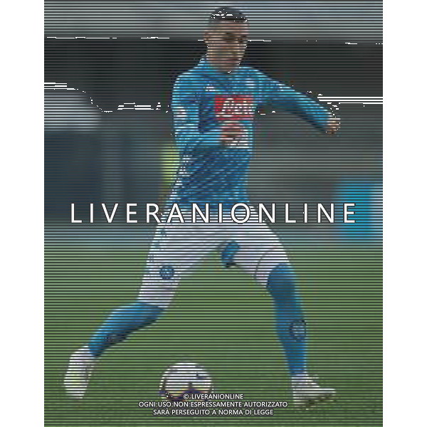 Campionato di Calcio Serie A TIM 2018/2019 32a Giornata Verona - 14.04.2019 Chievo-Napoli Nella Foto:Jose Callejon /Ph.Vitez-Ag. Aldo Liverani